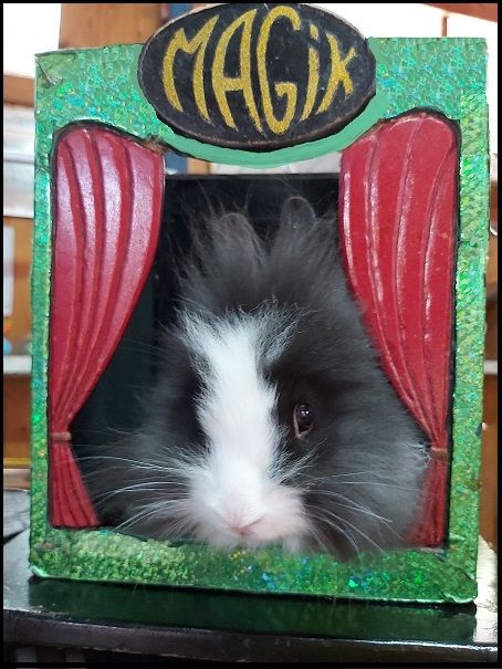 Punto_superstar Punto_superstar